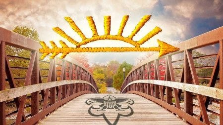 AOL logo above a wooden bridge with BSA logo