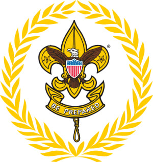 wreath of service around the BSA logo