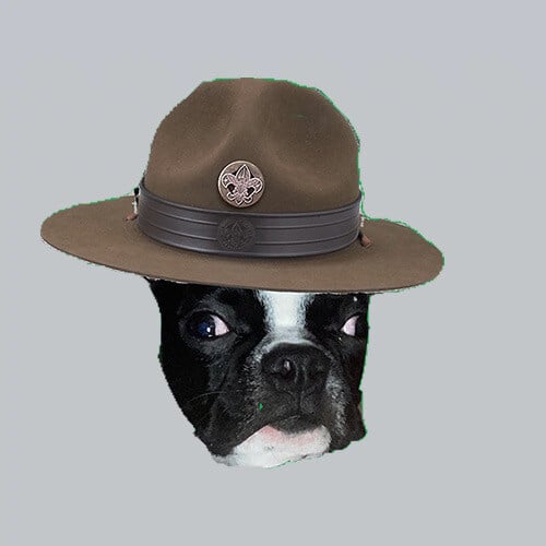 scoutsfun.com-doggo