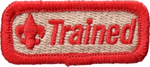 a horizontal patch with red outline and the text 
