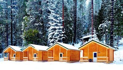 Four wooden cabins with snow on them, in front of a forest